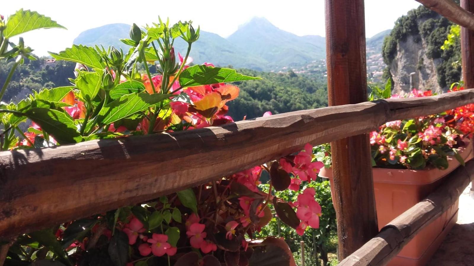 Agriturismo Orrido Di Pino Agerola Ngoại thất bức ảnh
