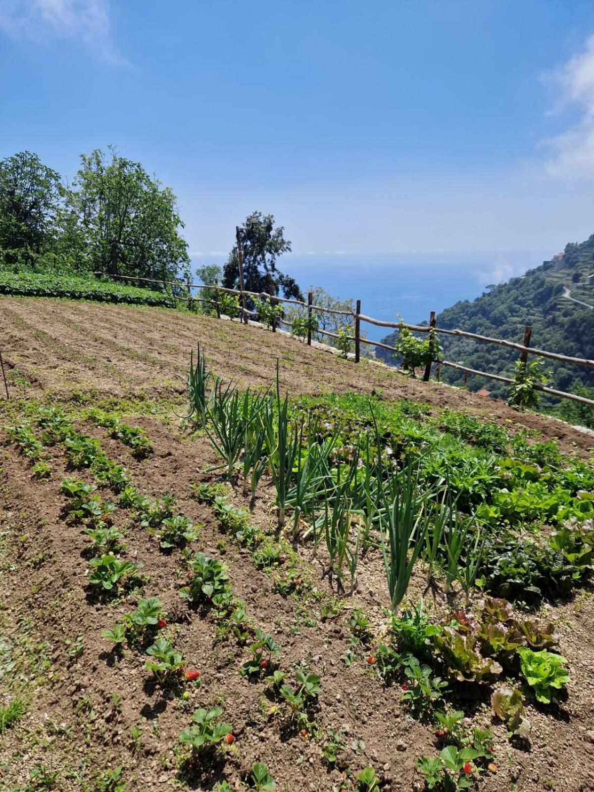 Agriturismo Orrido Di Pino Agerola Ngoại thất bức ảnh