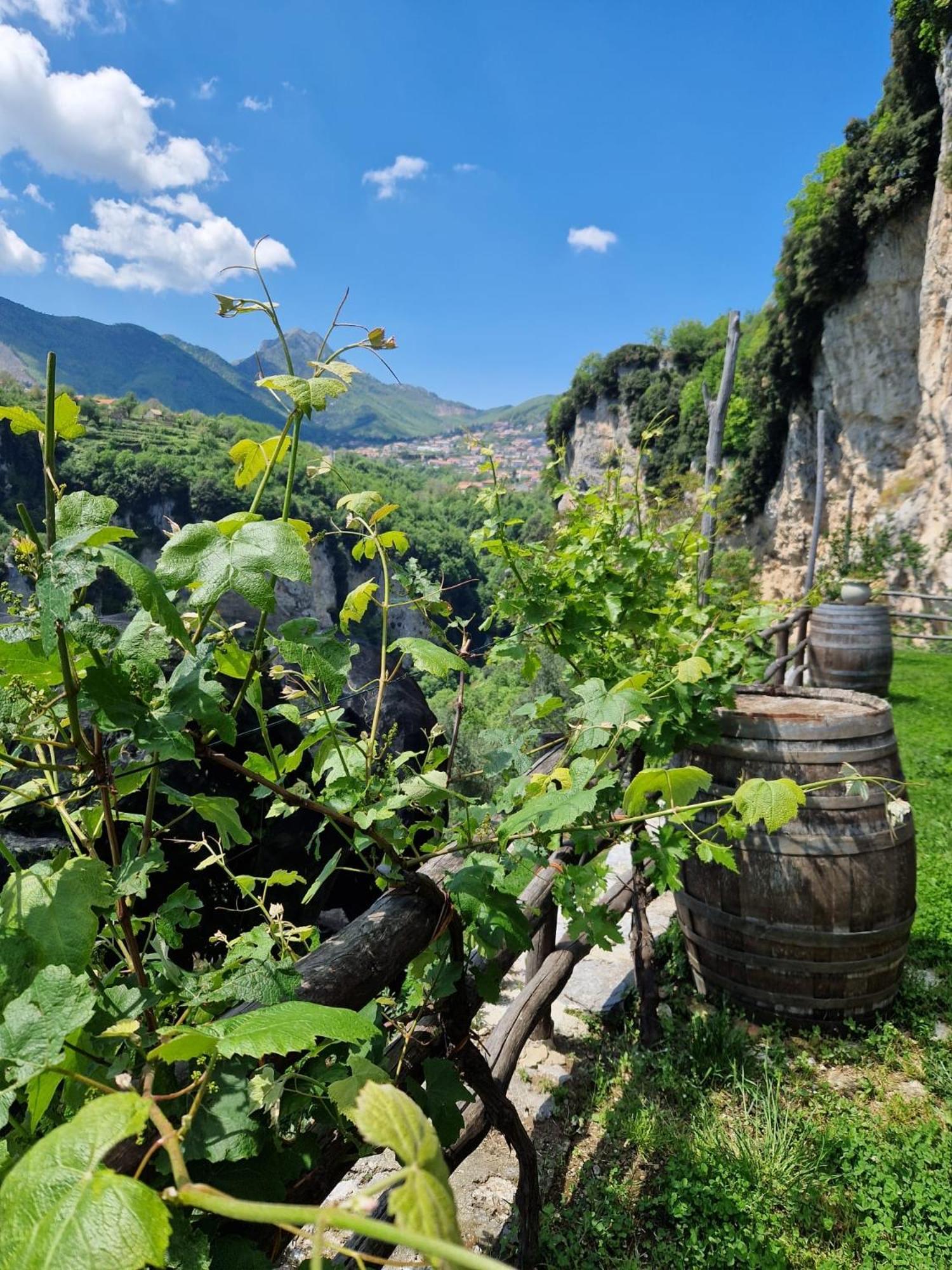 Agriturismo Orrido Di Pino Agerola Ngoại thất bức ảnh
