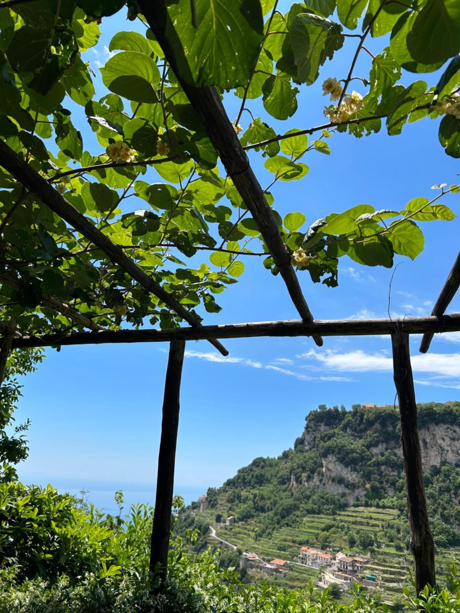 Agriturismo Orrido Di Pino Agerola Ngoại thất bức ảnh