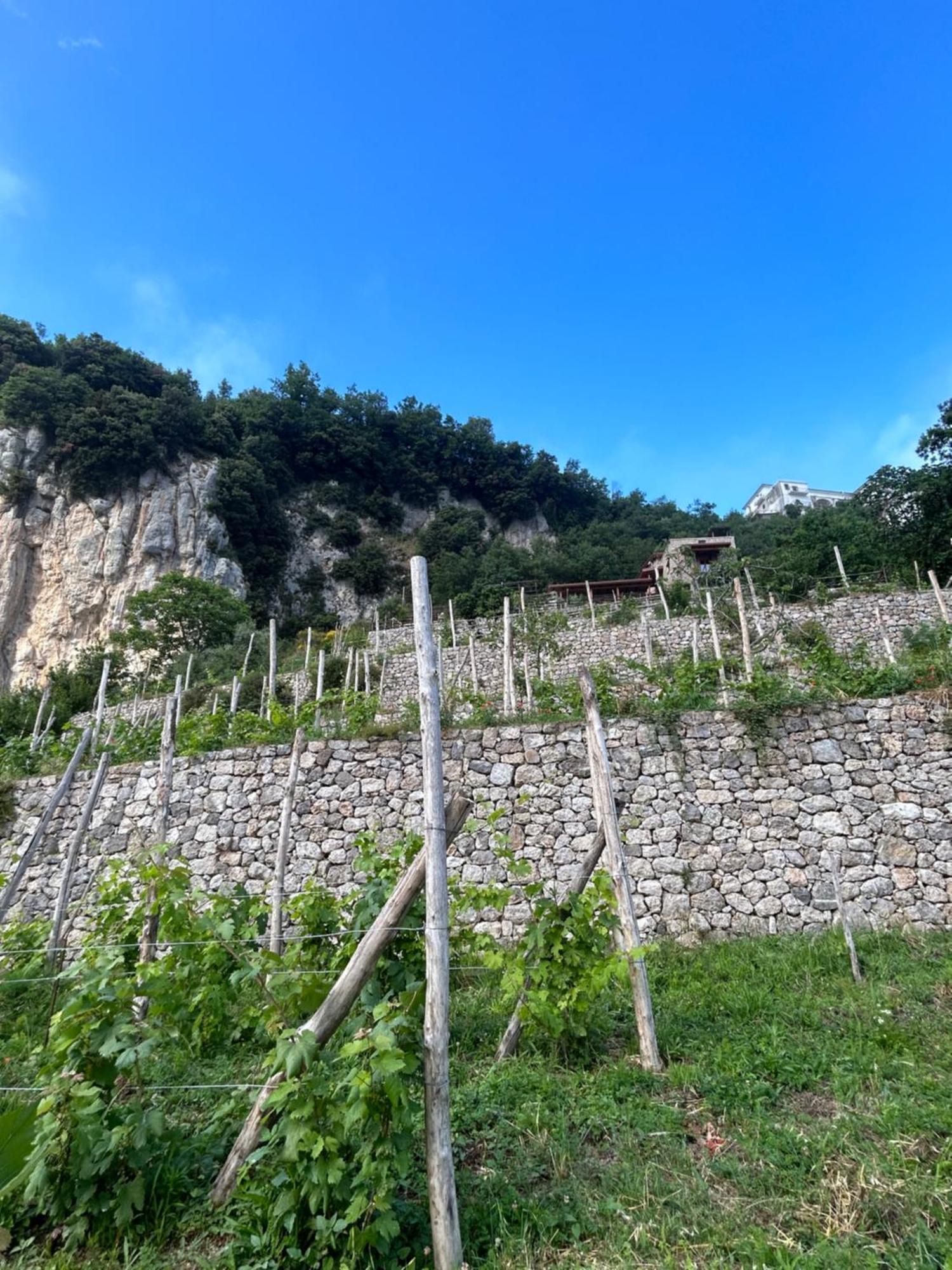 Agriturismo Orrido Di Pino Agerola Ngoại thất bức ảnh