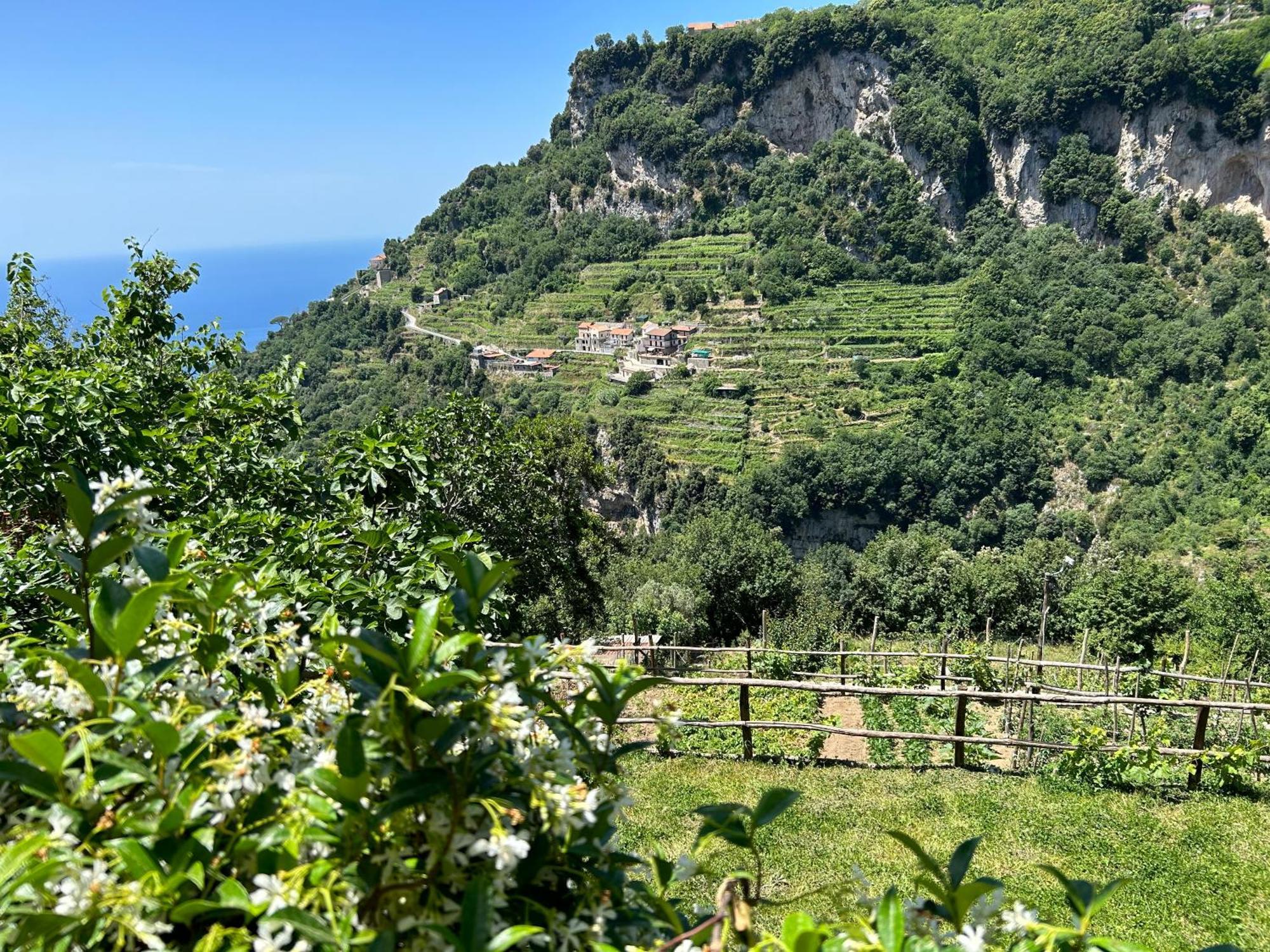 Agriturismo Orrido Di Pino Agerola Ngoại thất bức ảnh