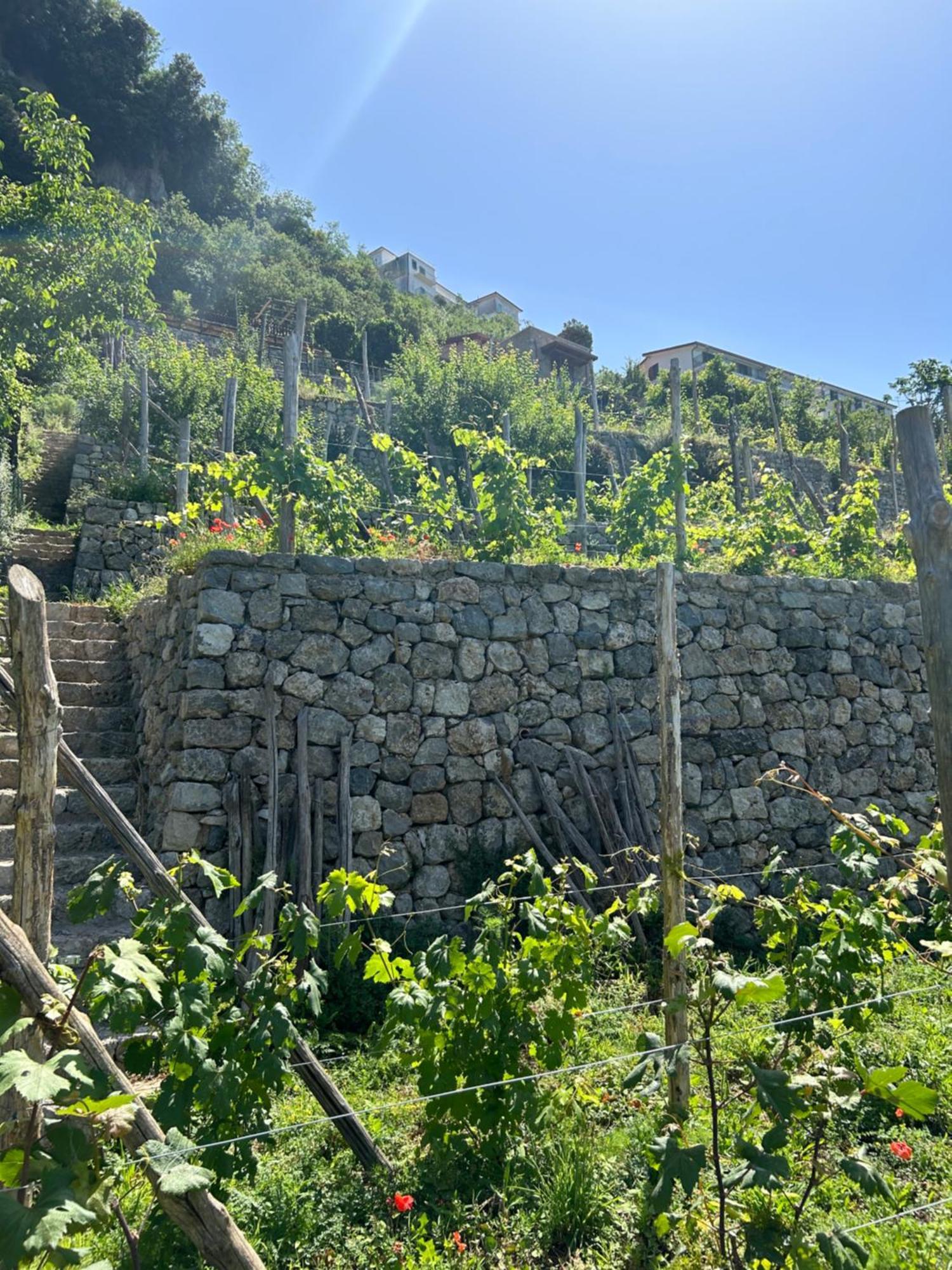 Agriturismo Orrido Di Pino Agerola Ngoại thất bức ảnh
